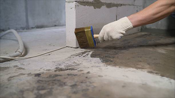 SJ Waterproofing Pros Exterior Waterproofing coverage map for Farner, TN and surrounding area
